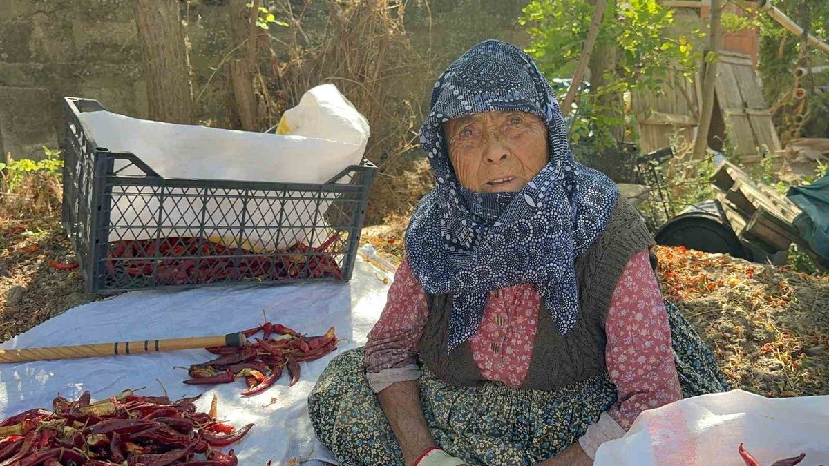 Bursa'da 90 yaşındaki annemin biber çalışmasıyla ilgili detaylar, deneyimler ve