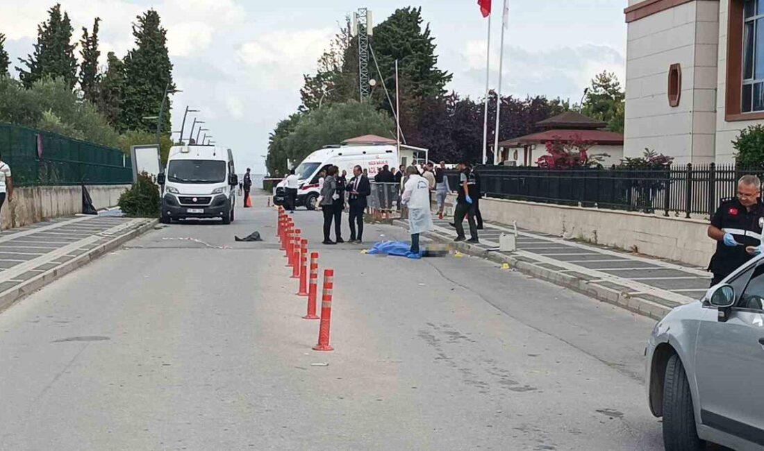 Bursa'da adam öldürme davasında sanıkların duruşması devam ediyor. Hukuki süreçleri