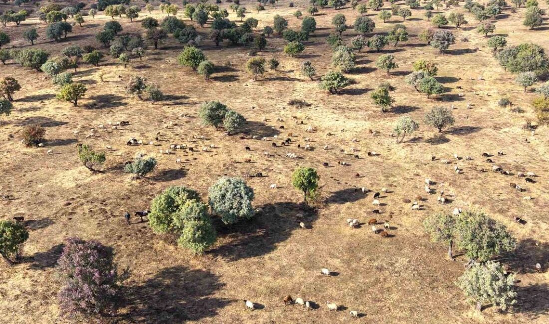 Bursa'da çiftçilik ve doğal yaşamı ön planda tutan sürdürülebilir, bilinçli