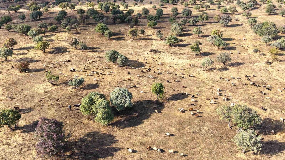 Bursa'da çiftçilik ve doğal yaşamı ön planda tutan sürdürülebilir, bilinçli