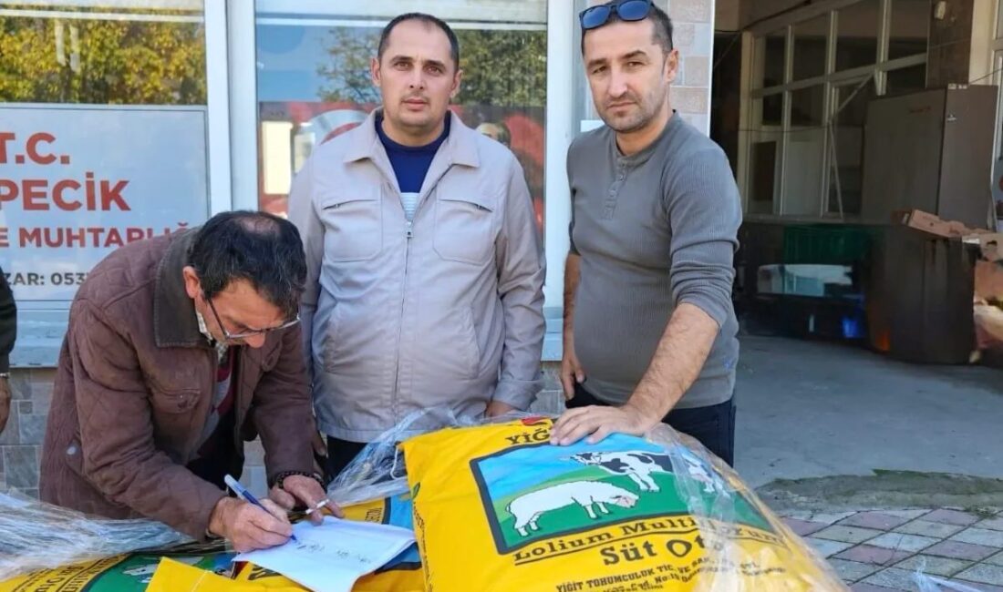 Bursa'da hayvancılık destekleri artırılıyor. Çiftçiler için yeni fırsatlarla dolu bu