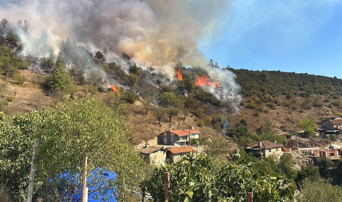 Bursa'da orman yangını söndürme çalışmaları hızla devam ediyor. Uzman ekipler,