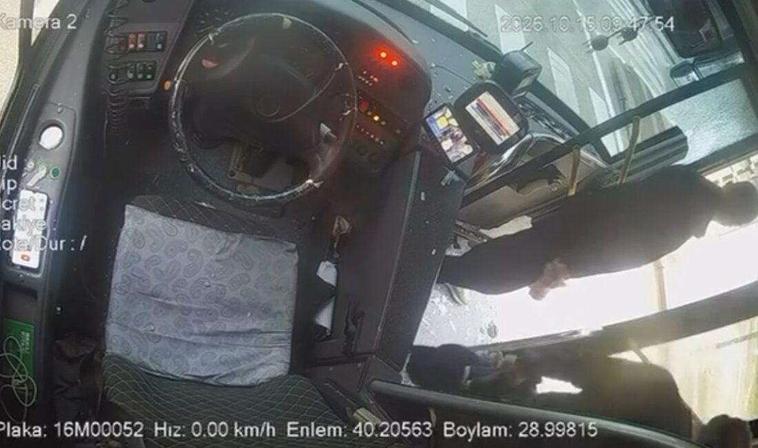 Bursa'da otobüs ve yaya tartışması üzerine detaylı analizler, güvenlik ve