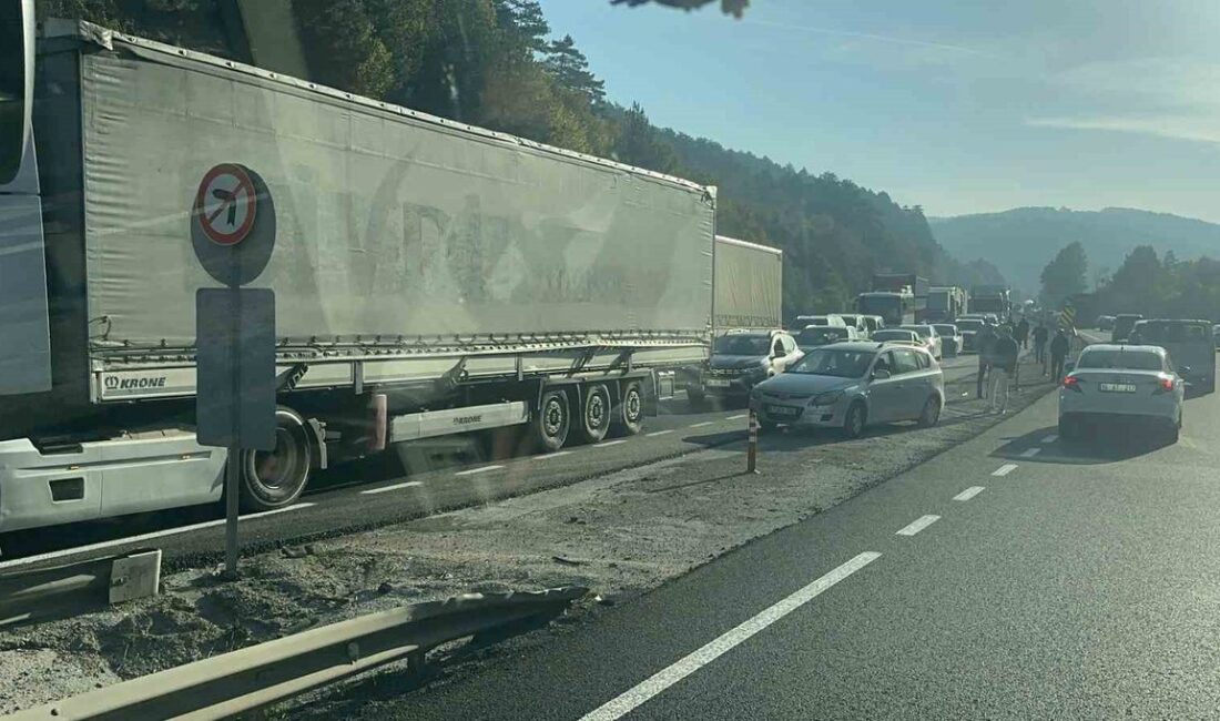 Bursa'da rüzgar türbini kanatlarının taşınması sürecini detaylarıyla anlatan, uzman ve