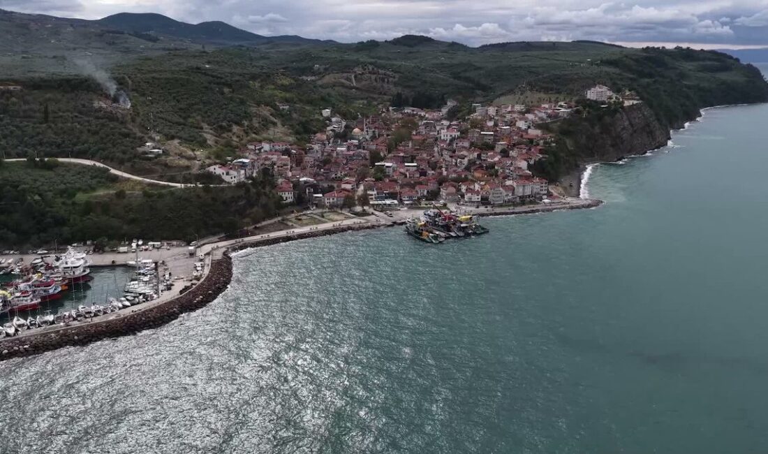 Bursa'da gerçekleştirilen sahil temizliği faaliyeti ile doğal güzellikler korunuyor, çevre