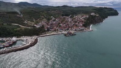 Bursa'da gerçekleştirilen sahil temizliği faaliyeti ile doğal güzellikler korunuyor, çevre