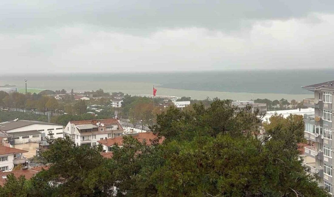Bursa'da sel ve çamur nedeniyle deniz suyu kirlendi. Etkiler ve