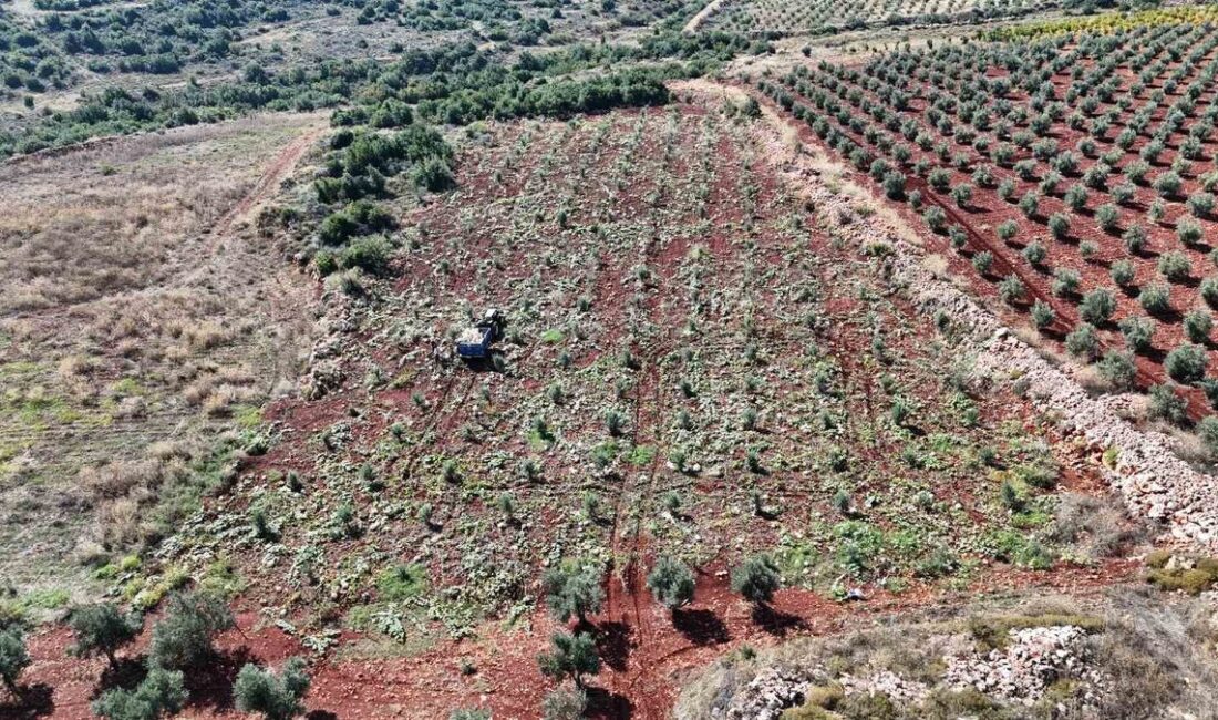 Bursa'da tarihi eserde çıkan yangın kontrol altına alındı. Yetkililer olay