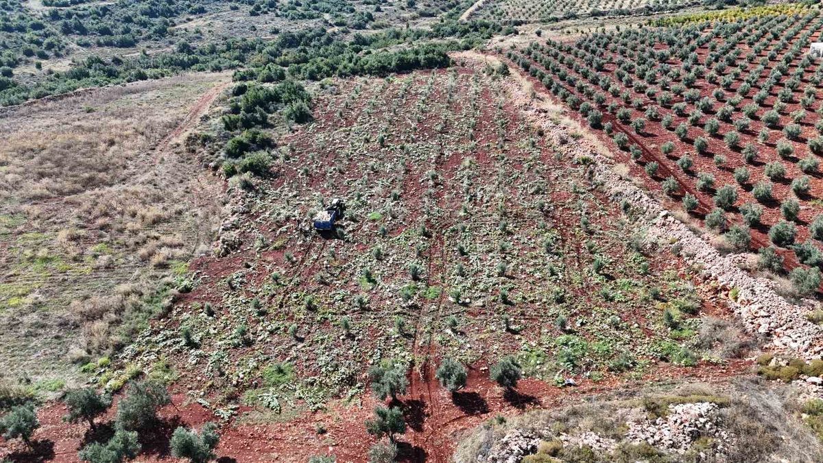 Bursa'da tarihi eserde çıkan yangın kontrol altına alındı. Yetkililer olay