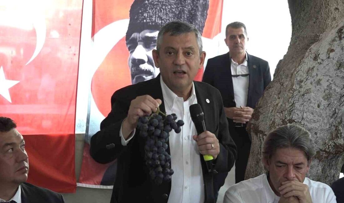 Bursa'da tarım ve sanayinin gelişimi, ekonomik katkıları ve bölgesel önemi