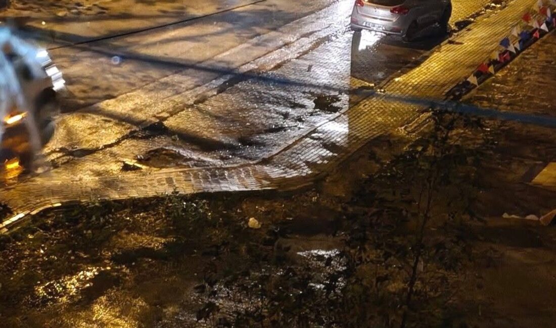 Bursa'da trafik kazası sonucu yola saçılan meyveler ve bu olayın