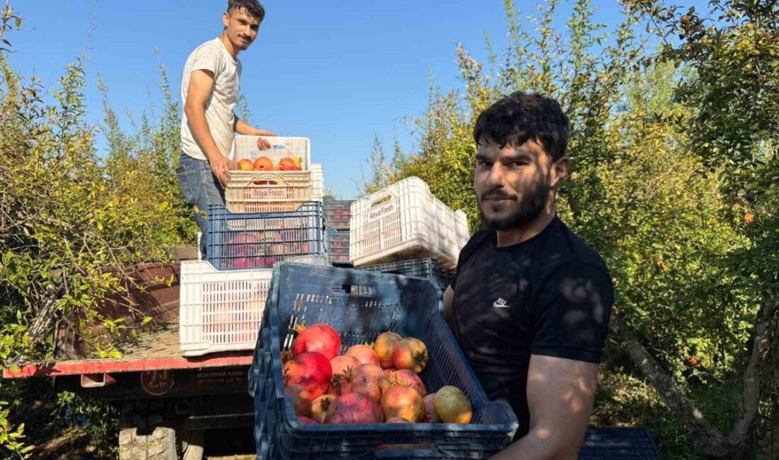 Bursa'da ünlü parkta ziyaretçiler yoğun ilgi gösteriyor, doğa ve dinlenme