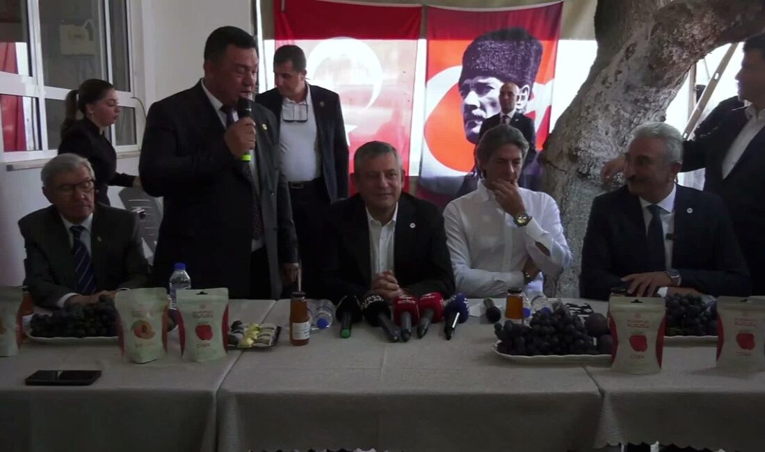 Bursa'da üzüm ve zeytin üreticilerinin karşılaştığı sorunlar, çözüm önerileri ve