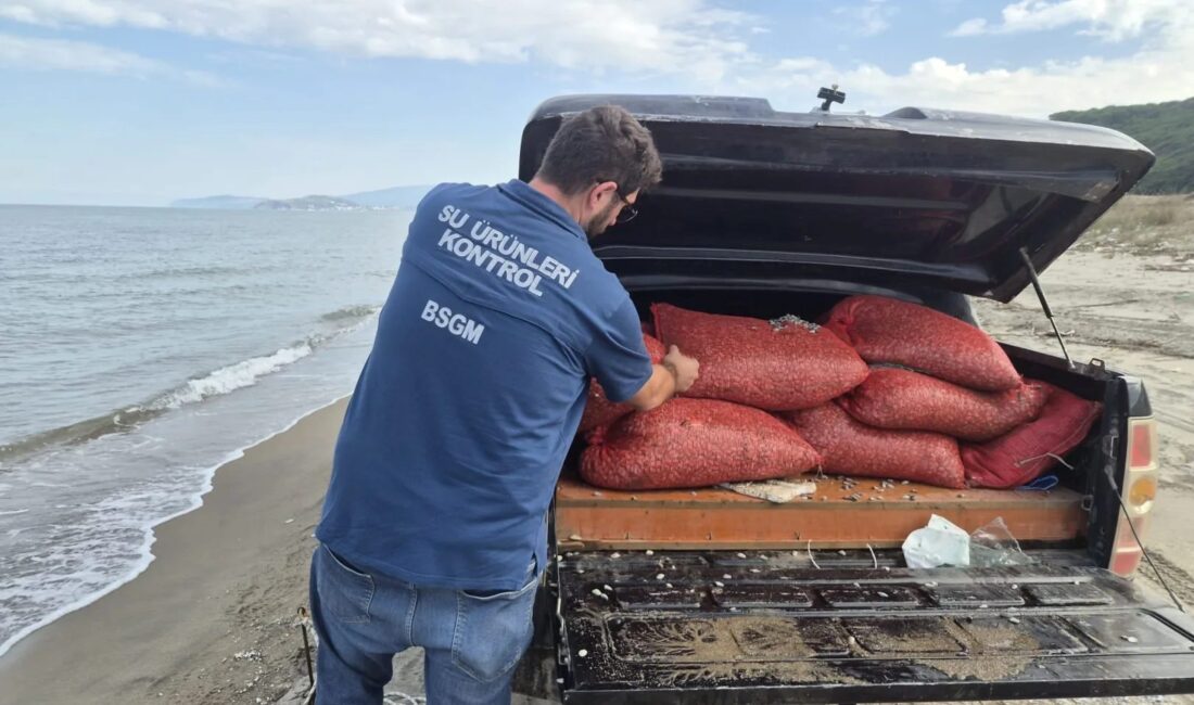 Bursa'da yasa dışı deniz avcılığı başarılı operasyonla engellendi. Doğal yaşam
