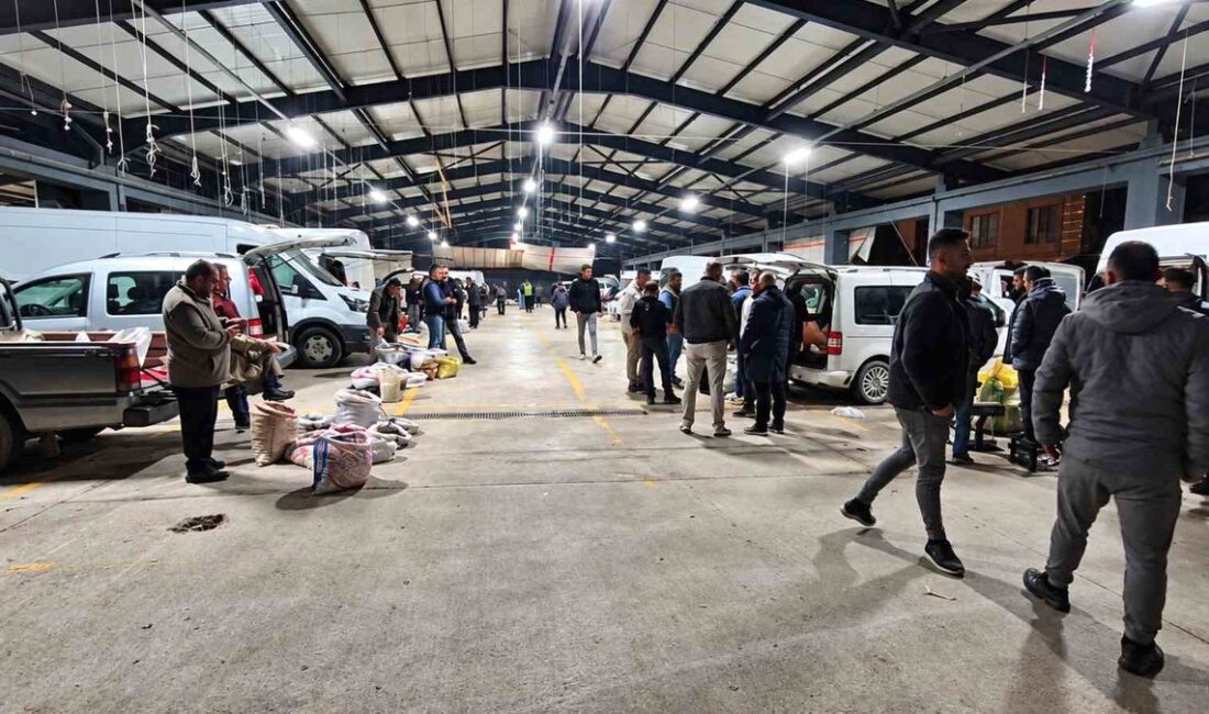 Düzce Kestane Pazarı büyük ilgi gördü. Tüketiciler, taze ve kaliteli