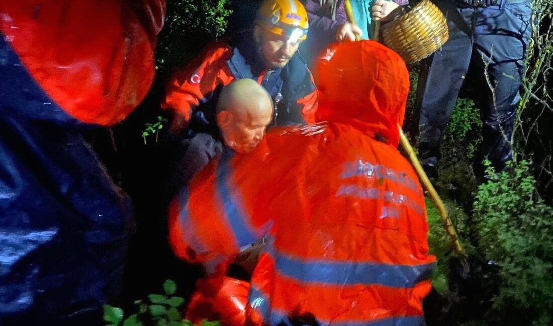 Gemlik’te kaybolan yaşlı çift, yürütülen arama çalışmaları sonucunda bulundu. Olayın