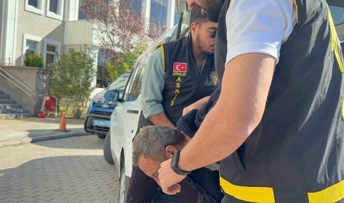 Gemlik'te yaşlı çiftin trajik cinayet vakası, detaylar ve analizlerle bu