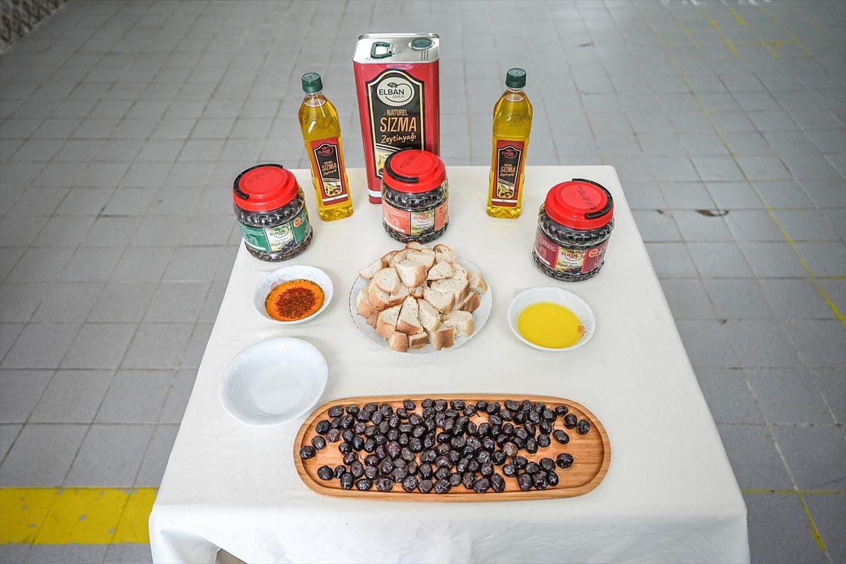 Gemlik’te zeytin üretimiyle hükümlülere mesleki beceriler kazandırılıyor; çalışma, üretime katkı
