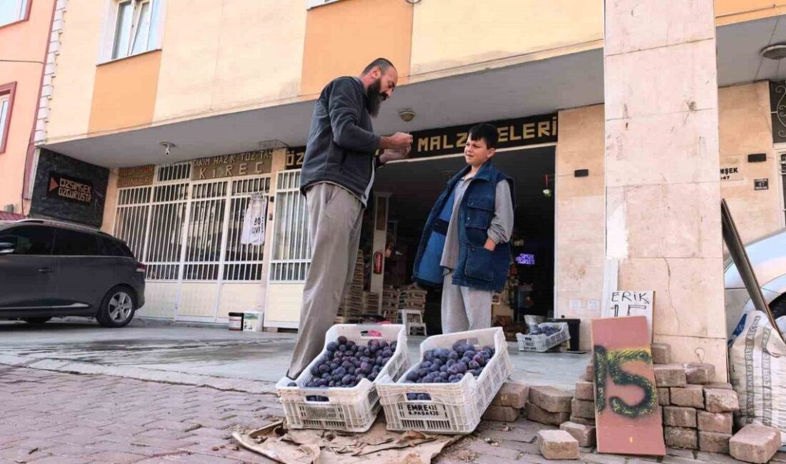 İnegöl'deki erik üreticisinin inovatif çözüm yöntemleri ve başarı hikayeleriyle ilgili