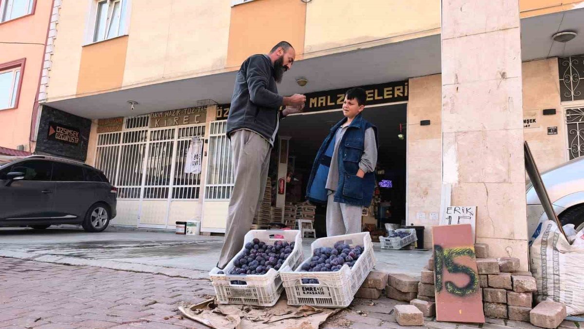 İnegöl'deki erik üreticisinin inovatif çözüm yöntemleri ve başarı hikayeleriyle ilgili