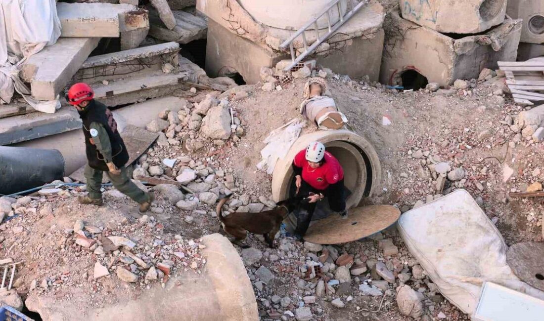 İnegöl'de K9 Arama Kurtarma Eğitim Merkezi, uzman köpekler ve eğitimciler