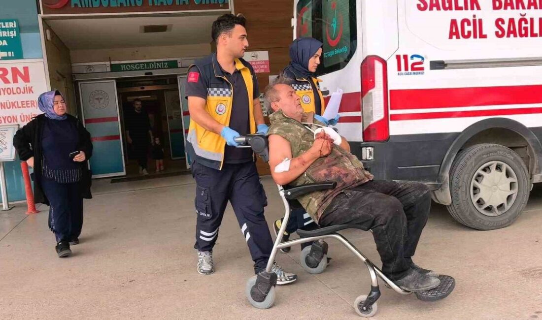 İnegöl'de odun kesimi sırasında meydana gelen kazayı detaylarıyla inceleyen, önleyici