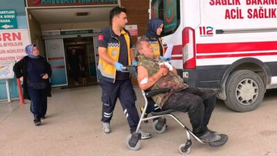 İnegöl'de odun kesimi sırasında meydana gelen kazayı detaylarıyla inceleyen, önleyici