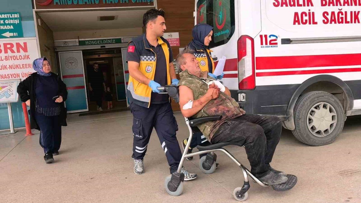 İnegöl'de odun kesimi sırasında meydana gelen kazayı detaylarıyla inceleyen, önleyici