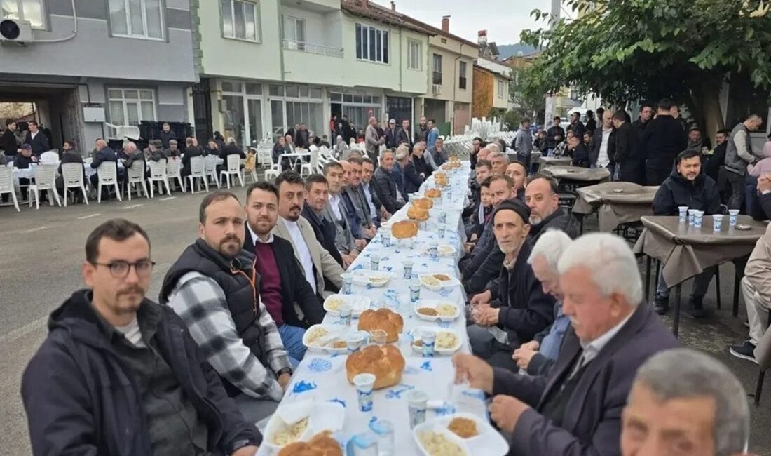 İnegöl'de Tavuk Pilavı Zehirlenmesi hakkında bilmeniz gerekenler, belirtileri ve alınması