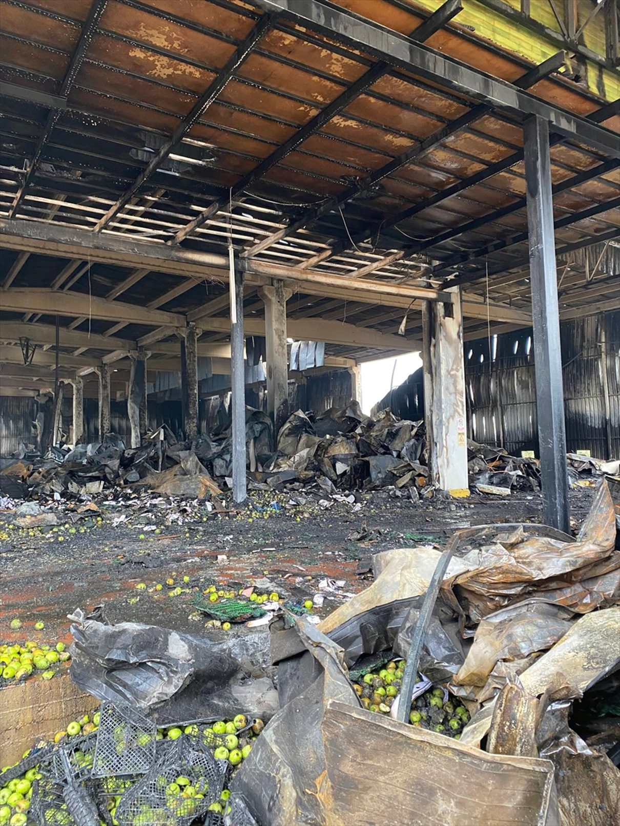 İznik’te bir soğuk hava deposunda çıkan yangına ekipler müdahale etti.