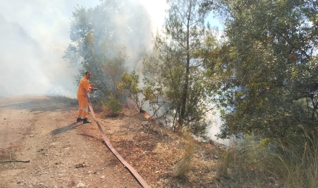 Keles'te orman yangını ihbarı alındı. Yetkililer olay yerine hızla müdahale