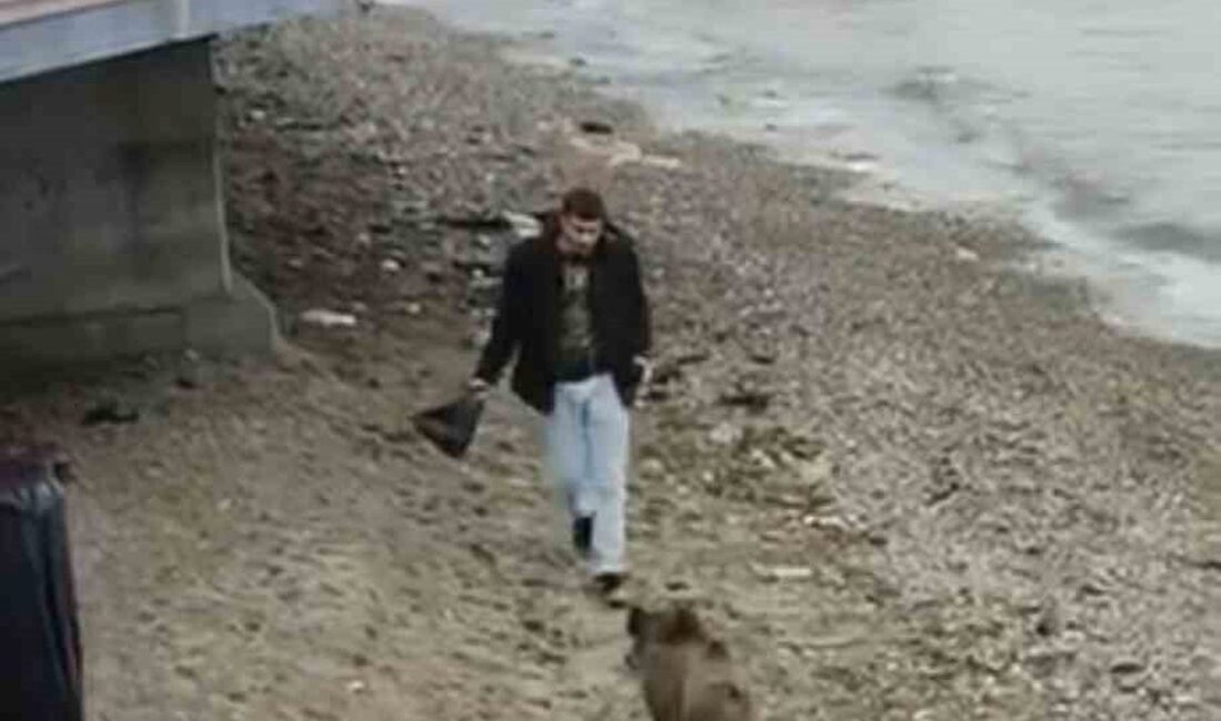 Mudanya sahiline inen yaban domuzu çevredekileri şaşırttı. O anlar merak