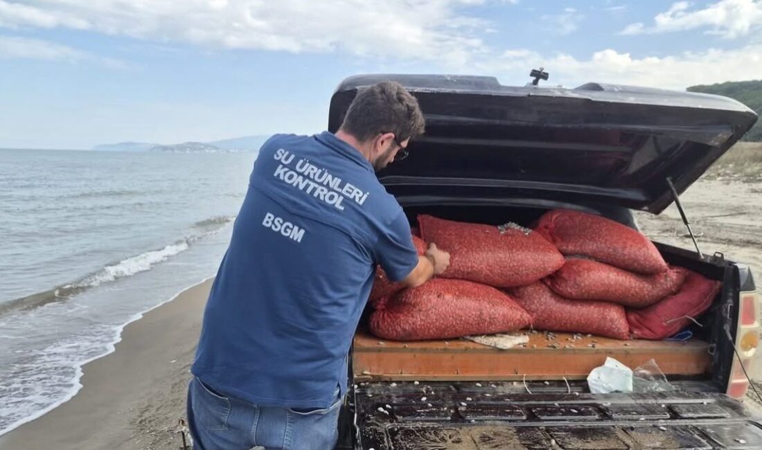 Mudanya'da gerçekleştirilen kaçak su ürünleri operasyonu hakkında detaylı bilgi. Emniyet