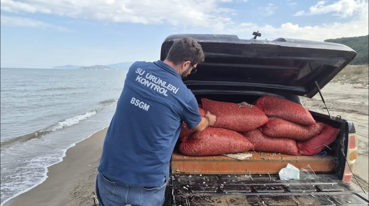 Mudanya'da gerçekleştirilen kaçak su ürünleri operasyonu hakkında detaylı bilgi. Emniyet