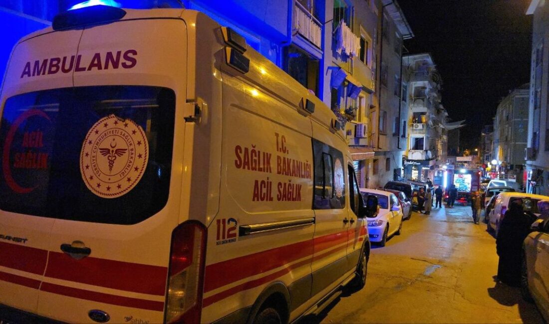 Mudanya'da meydana gelen yangın olayında zararlar giderildi ve bölge tekrar