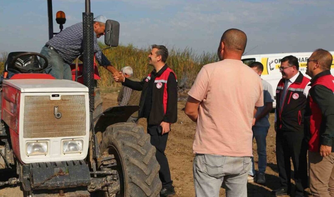 Mustafakemalpaşa’da 150 dekarlık mera ıslahı çalışmasıyla otlakların verimliliği artırılıyor, hayvancılığa