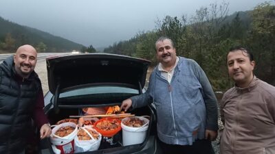 Orhaneli dağlarında yılın ilk melkileri toplandı. Bölgenin doğal güzellikleri ve