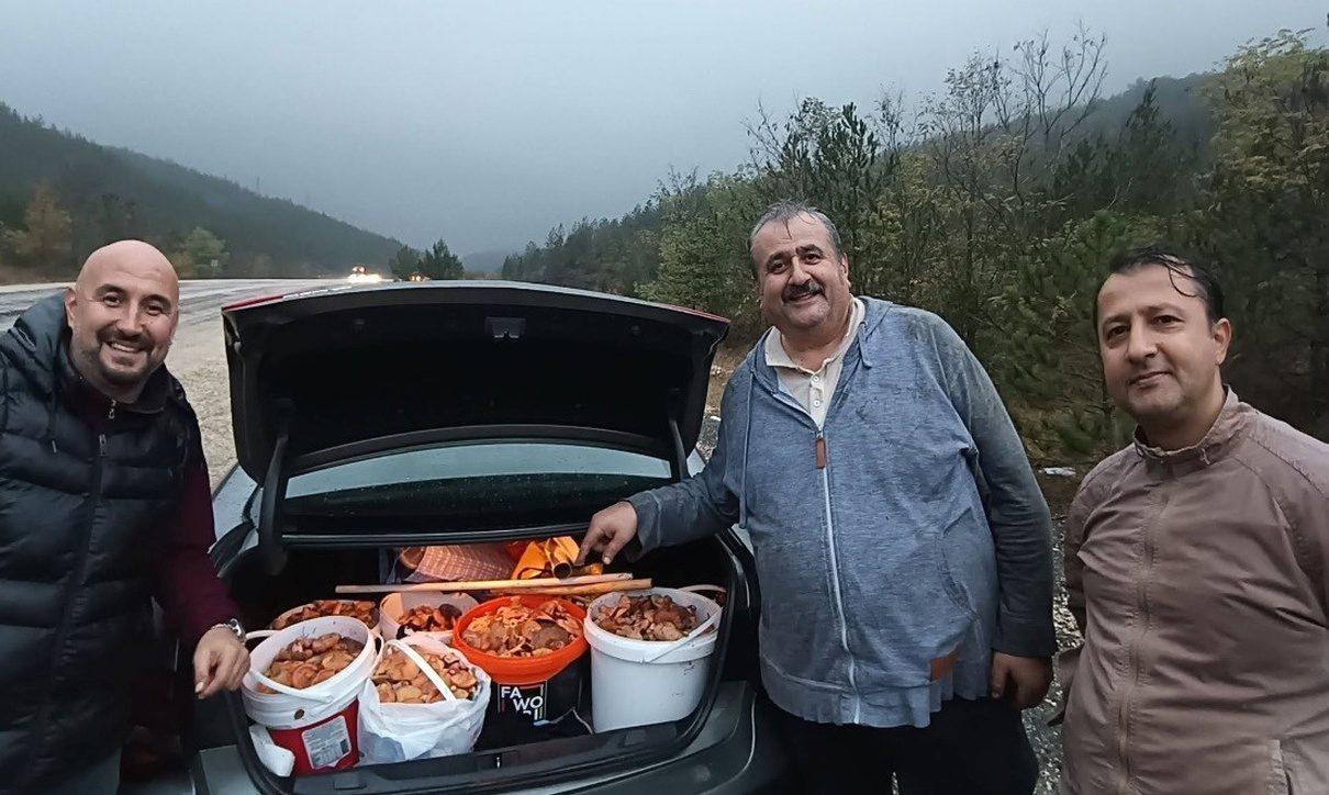 Orhaneli dağlarında yılın ilk melkileri toplandı. Bölgenin doğal güzellikleri ve