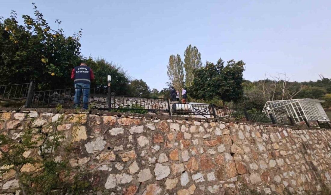 Orhangazi'de güneş paneli hırsızlığıyla ilgili gelişmeleri, güvenlik önlemlerini ve olayla
