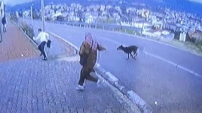 Orhangazi’de köpek saldırısı anları güvenlik kameraları tarafından kaydedildi. Olayın detayları