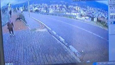 Orhangazi'de gerçekleşen köpek saldırısı sonucu çocuk yaralandı. Olayla ilgili detaylar