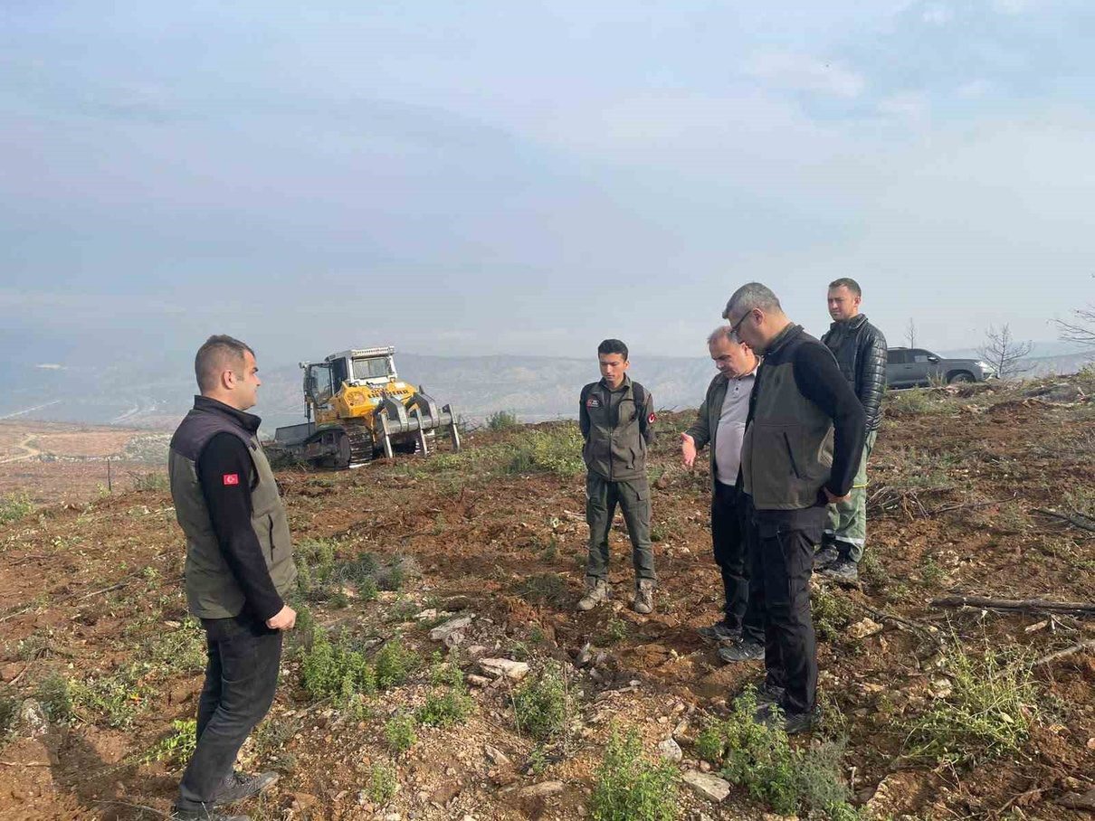 Osmaneli’de yangından etkilenen alanlarda yürütülen ağaçlandırma çalışmalarıyla doğa yeniden canlanıyor,