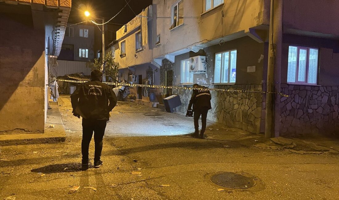 Yıldırım'da gerçekleştirilen kasten öldürme operasyonu hakkında detaylı bilgi ve gelişmeler.
